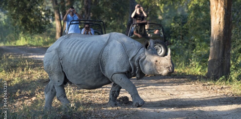 adobestock 1647467237 preview