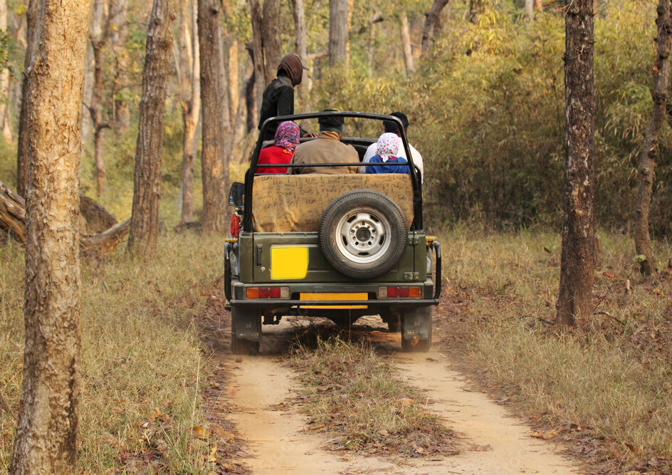 adobestock 89817272 preview