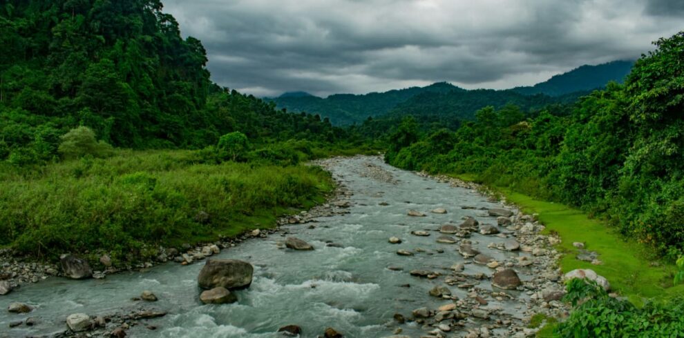 f4b15ba5 869b 4c96 8b9b bf42d785667f