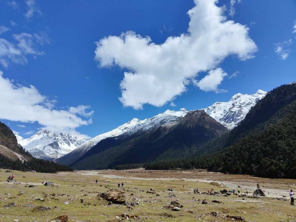 Stunning landscape of Yumthang Valley, India with snow-capped peaks and vibrant blue sky.